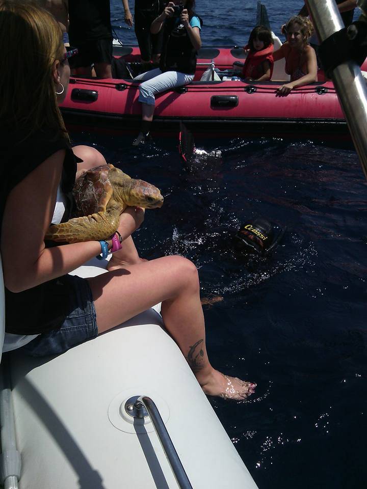 La tortuga Anca vuvlve a la Mar en la Reserva Marítima de Cabo de Gata Níjarr